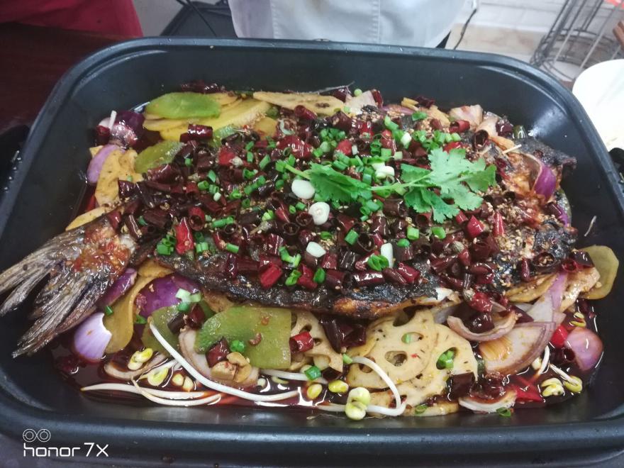烤鱼91免费看片APP下载