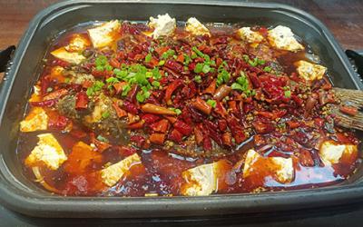 想学炭火锅烤鱼技术哪里有？