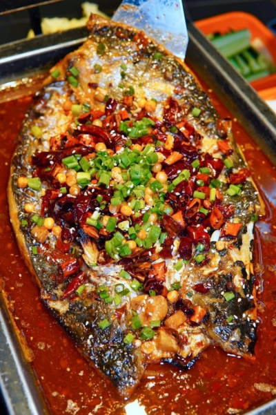 烤鱼91免费看片APP下载哪里学比较好?成都烤鱼91免费看片APP下载班