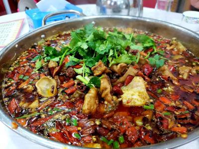 肥肠鱼火锅技术91免费看片APP下载哪里比较好？