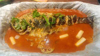 想学正宗纸包鱼技术？成都纸包鱼技术91免费看片APP下载