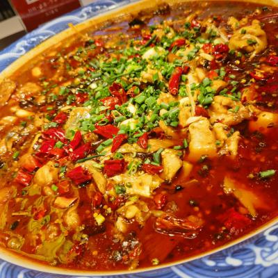 重庆来凤鱼91免费看片APP下载学校哪家好？深度解析91看片神器黄色为何备受青睐